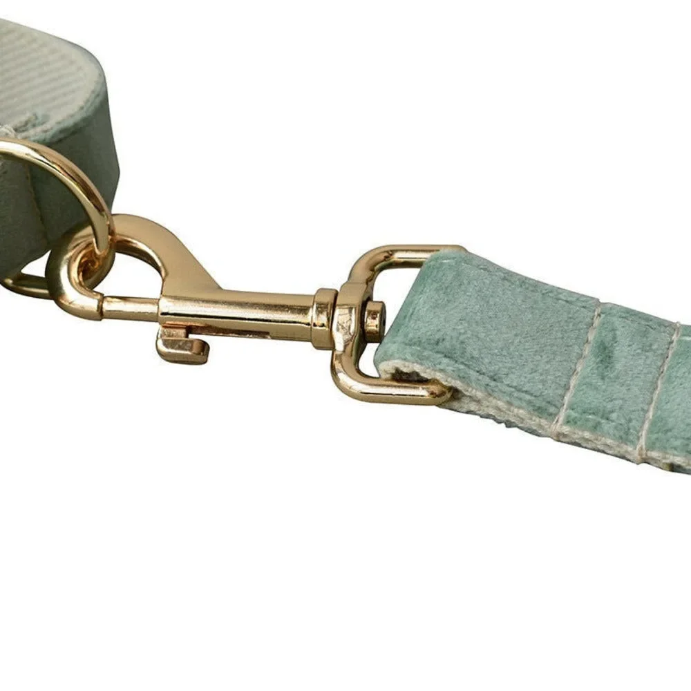 The Luxury Dog/Cat Set with Leash, Bow Tie, and Leash